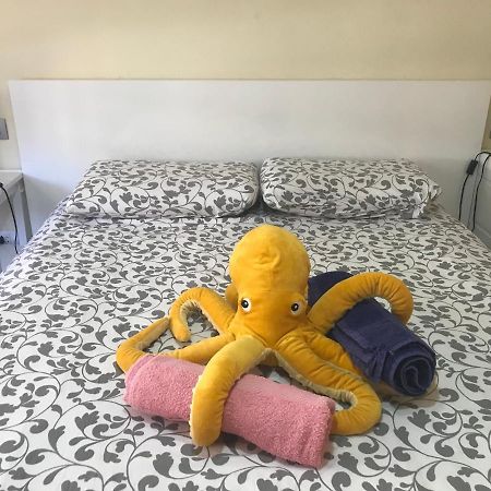 Medano Octopus Apartment エル・メダノ エクステリア 写真